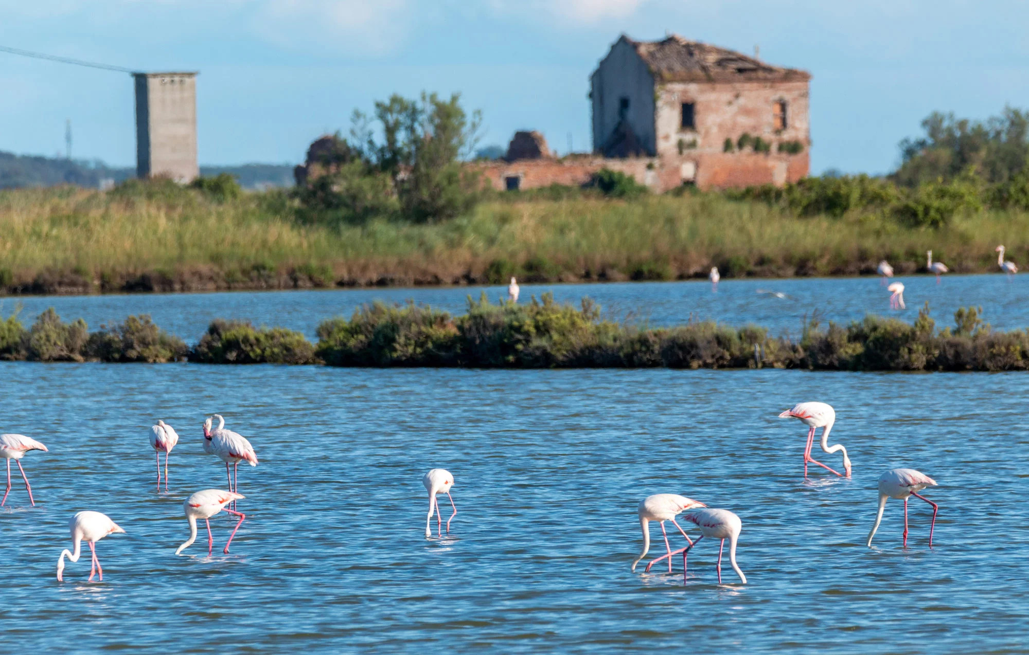 media.Slide_LidoDiSavio_2Costavacanzehotels